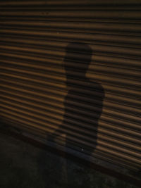 Shadow of person on wall