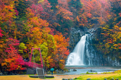 Scenic view of waterfall in park during autumn