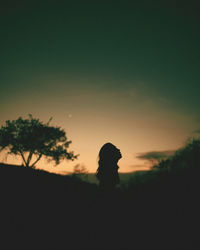 Silhouette tree on field against clear sky at sunset