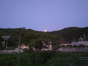 Scenic view of field against clear sky at night