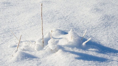 High angle view of snow on land