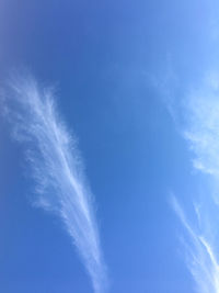 Low angle view of vapor trail in sky