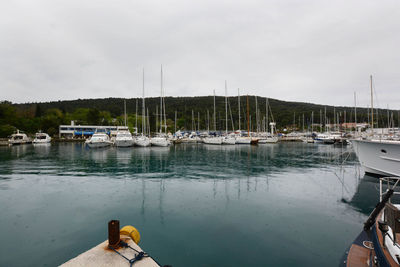 Boats moored at harbor