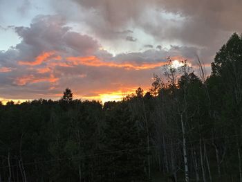 Silhouette trees in forest against sky at sunset