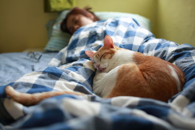 Cat sleeping with woman on bed at home