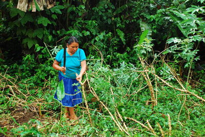 Boy standing by tree in forest