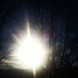 Low angle view of bare trees against sky