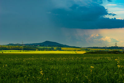 Scenic view of field against sky