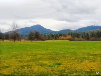 Scenic view of field against sky