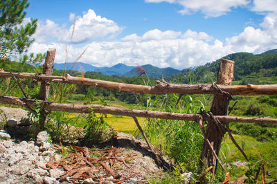 Scenic view of landscape against sky