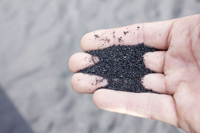 Cropped hand holding black sand