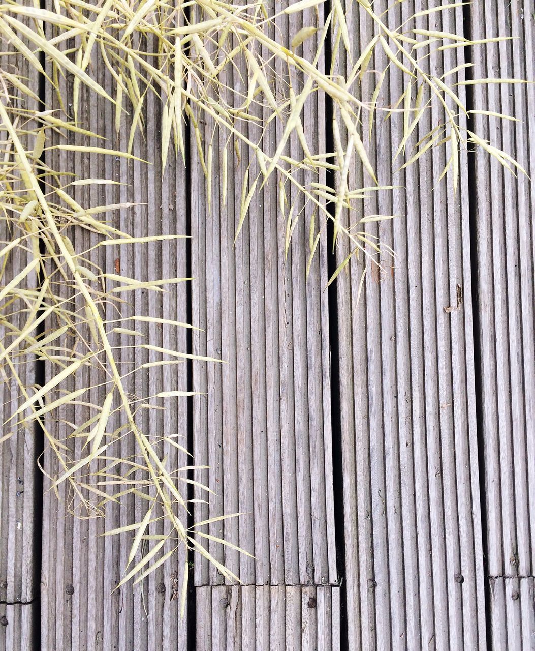 full frame, backgrounds, built structure, architecture, pattern, building exterior, protection, fence, metal, window, safety, low angle view, security, textured, close-up, outdoors, no people, day, wall - building feature, wood - material