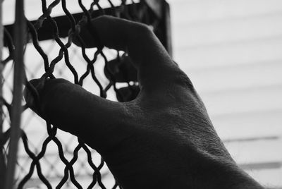 Cropped hand of person on chainlink fence