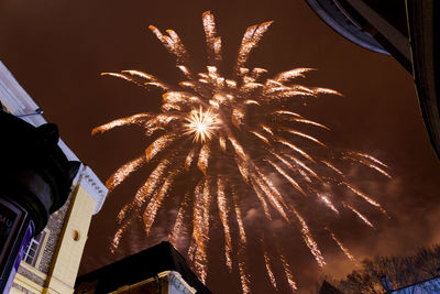 Low angle view of firework display against sky at night