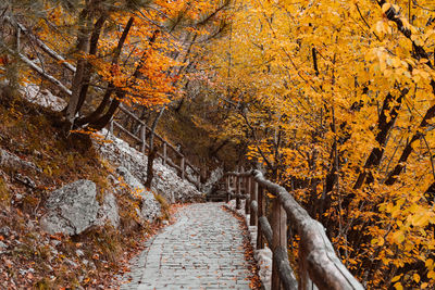Paved path in plitvice lakes national park in croatia in autumn