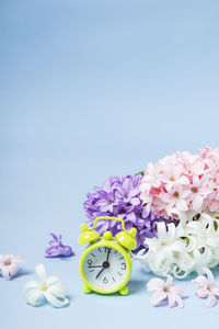 Close-up of cherry blossom against blue background