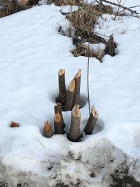 Scenic view of snow covered field