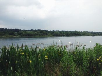 Scenic view of lake against sky