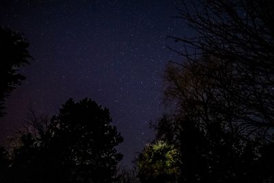 Low angle view of silhouette trees against sky at night