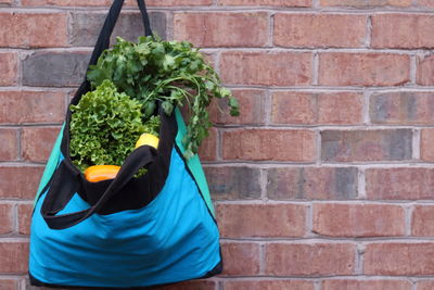 Vegetables in bag hanging on wall