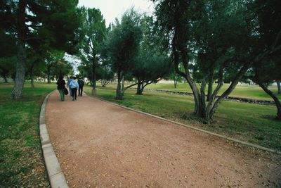 People walking in park