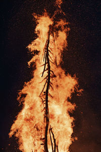 Low angle view of fire against sky at night