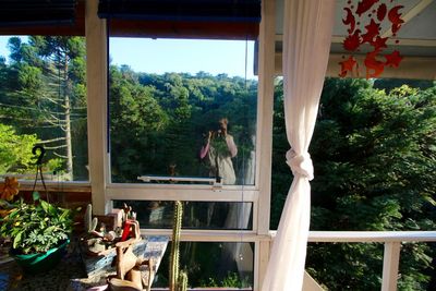 Plants in balcony