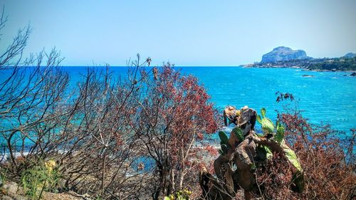 Scenic view of sea against blue sky