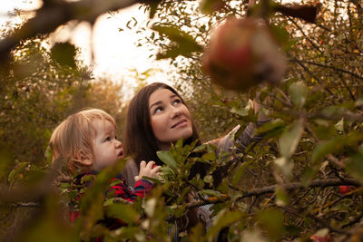 Beautiful mom and her son walking and picking apples in the garden. harvesting. autumn. apple orchar
