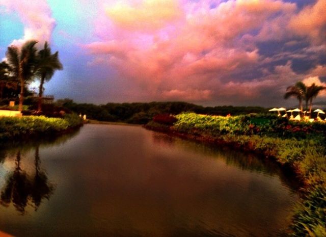 tranquil scene, sky, tranquility, water, scenics, beauty in nature, cloud - sky, tree, reflection, nature, sunset, lake, cloudy, growth, idyllic, cloud, waterfront, plant, landscape, grass