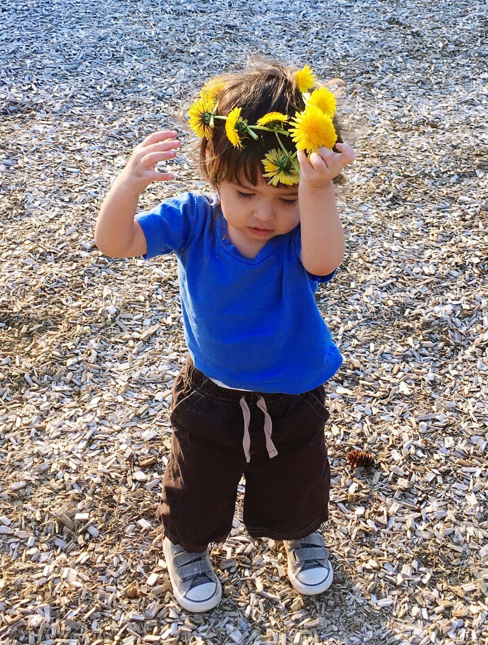 lifestyles, casual clothing, standing, leisure activity, person, childhood, holding, elementary age, high angle view, leaf, front view, yellow, girls, day, outdoors, full length, flower, autumn