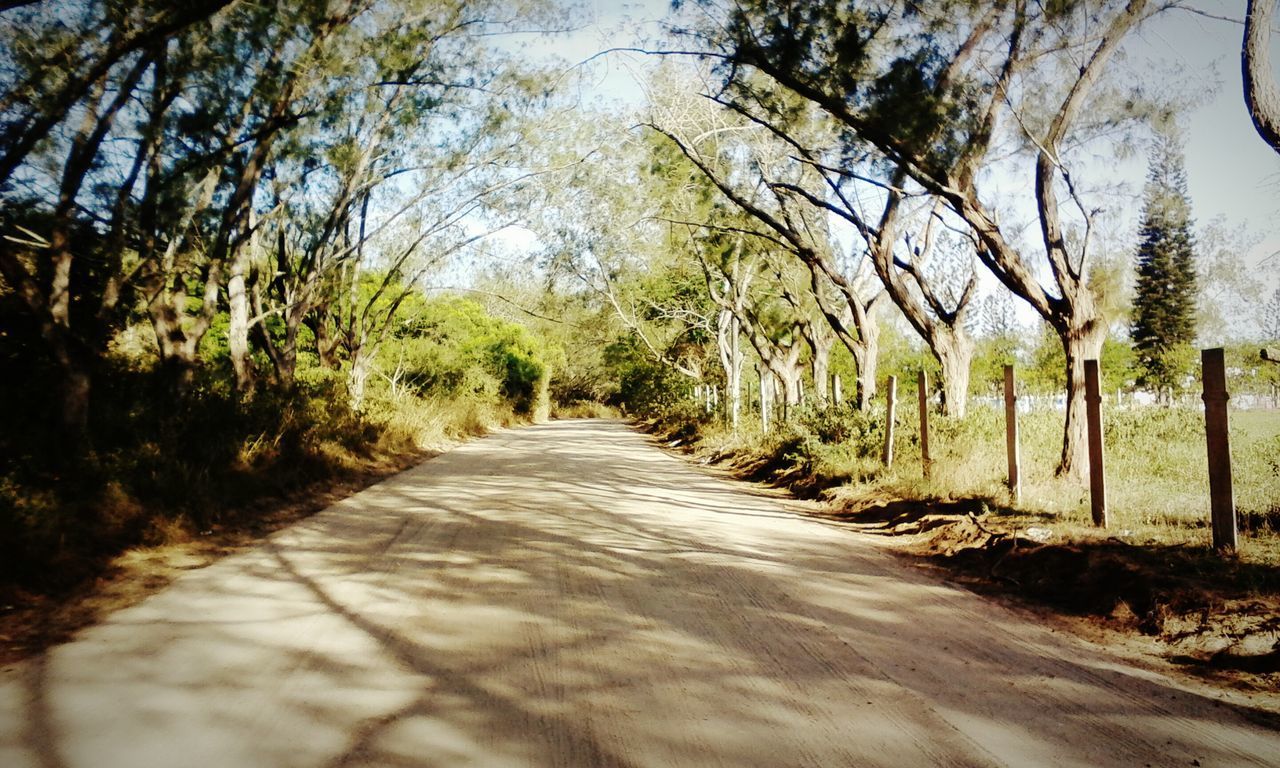 EMPTY ROAD AMIDST TREES ON LANDSCAPE