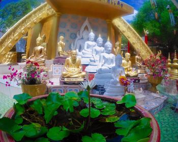 Close-up of buddha statue