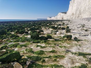 Scenic view of sea against clear sky