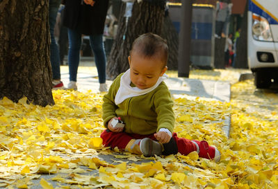 Cute toddler boy sitting on field during autumn