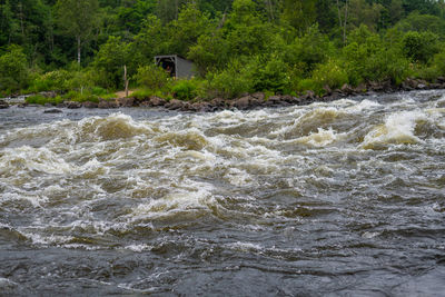 Scenic view of river flowing in forest