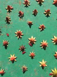 High angle view of autumn leaves