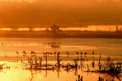 Scenic view of lake against orange sky