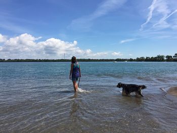 Dog walking on beach