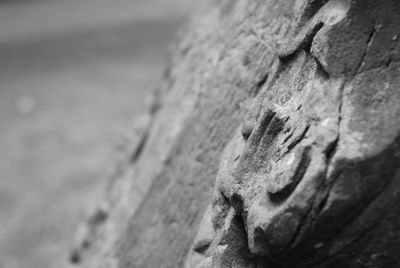 Close-up of statue