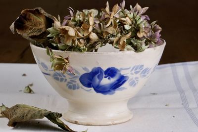 Close-up of potted plant on table