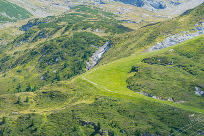 Scenic view of green landscape against