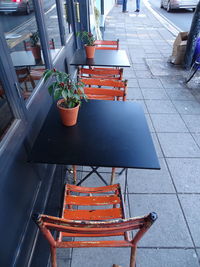 High angle view of potted plants on table