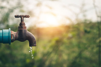 Close-up of water faucet against blurred background