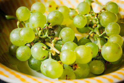 Detail shot of grapes