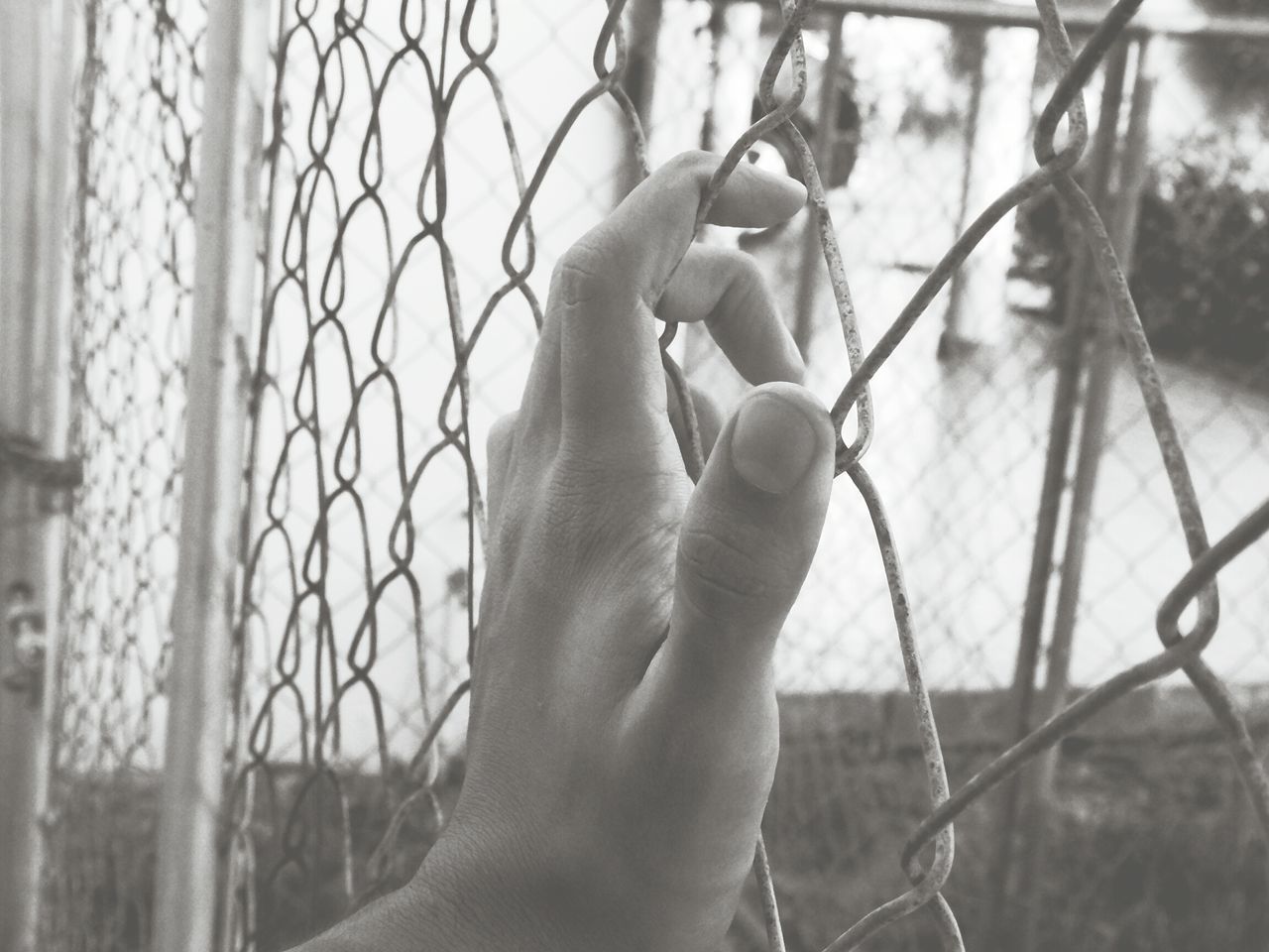 person, focus on foreground, part of, close-up, cropped, lifestyles, human finger, fence, chainlink fence, holding, personal perspective, unrecognizable person, leisure activity, protection, day, metal, outdoors