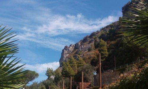 Panoramic view of palm trees and mountains against sky