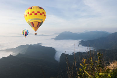 Hot air balloons flying against sky