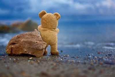 Close-up of stuffed toy at beach