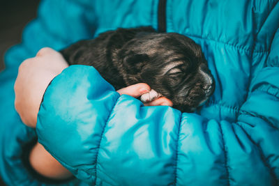 Midsection of man holding dog